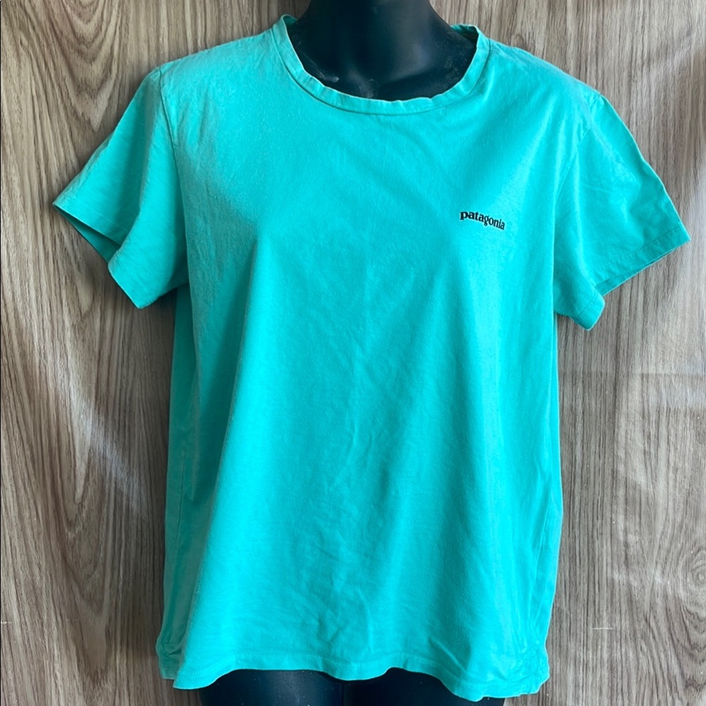 Patagonia Turquoise T-Shirt Pre-owned Size M